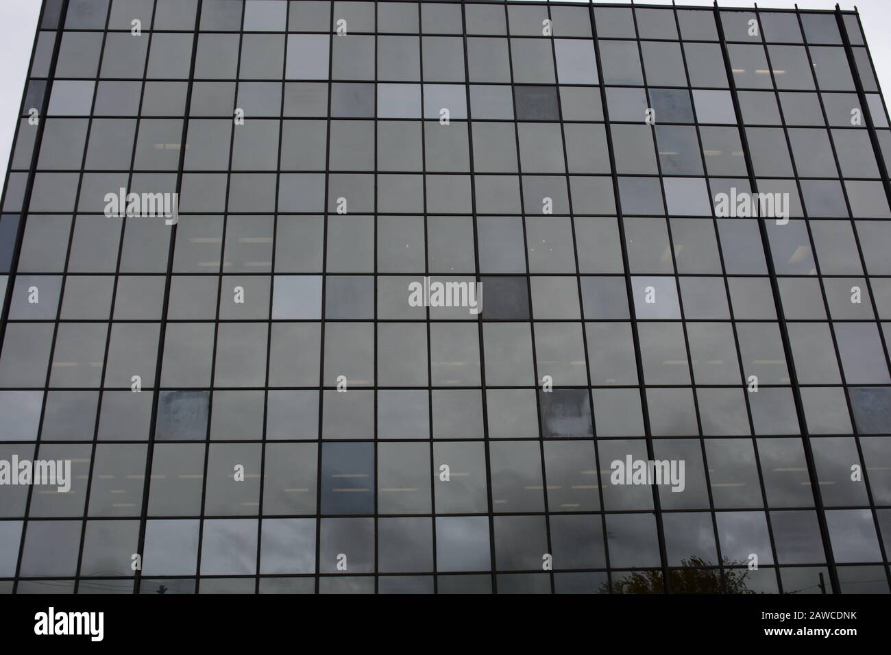 Office building with windows reflecting trees and sky Stock Photo - Alamy