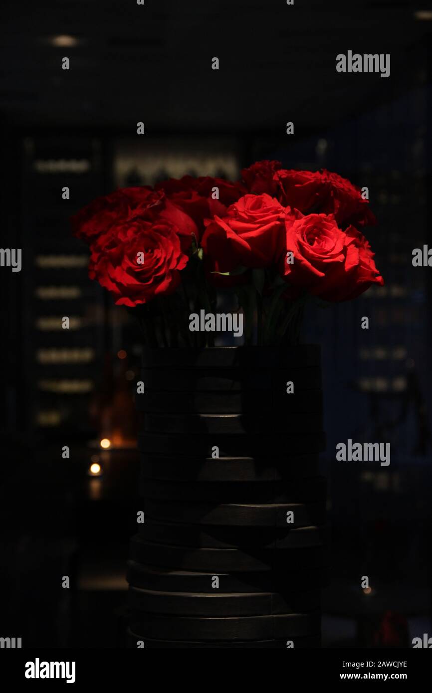 Low key roses hi-res stock photography and images - Alamy