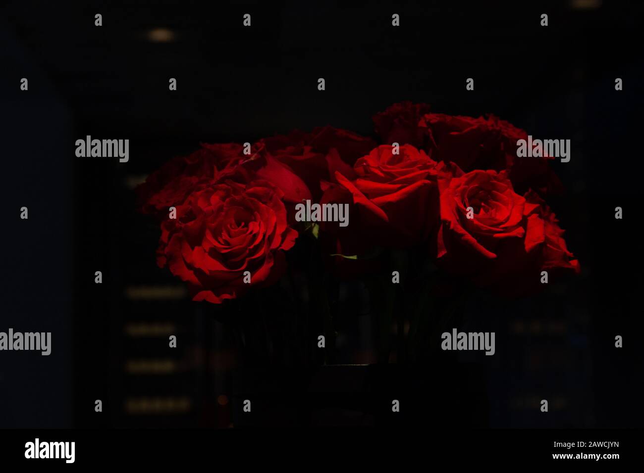 Low key roses hi-res stock photography and images - Alamy
