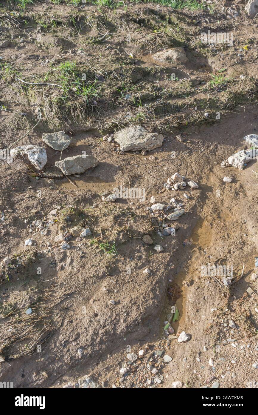 Water erosion channel / rill erosion washout channels in UK arable