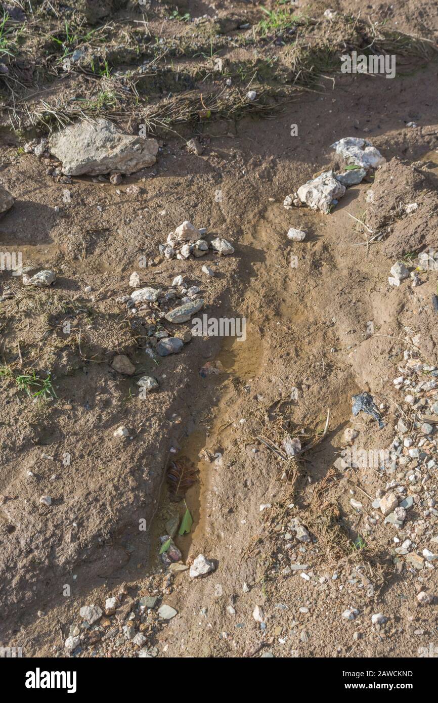 Water erosion channel / rill erosion washout channels in UK arable ...