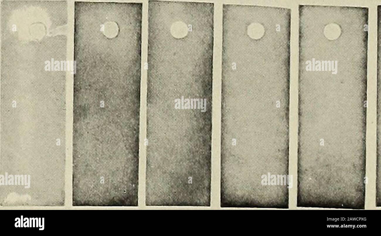 Lead acetate test for hydrogen sulphide in gas. . To test thetruth of