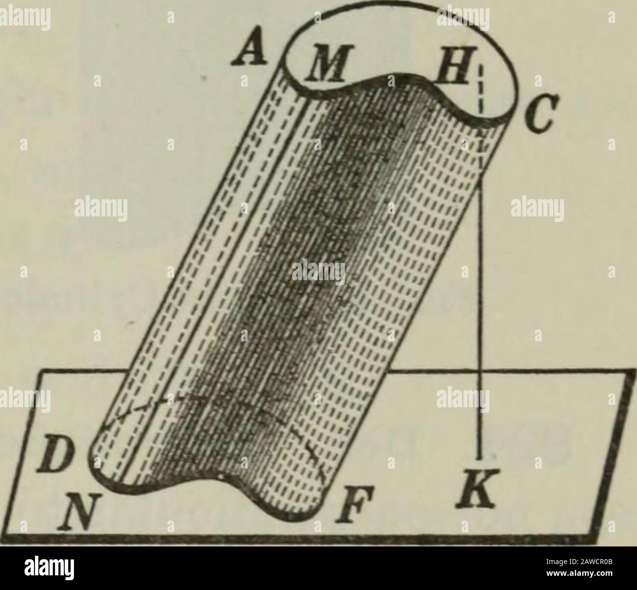 Plane and solid geometry . Fig. 1. Cylindrical Surface Fig. 2. Cylinder