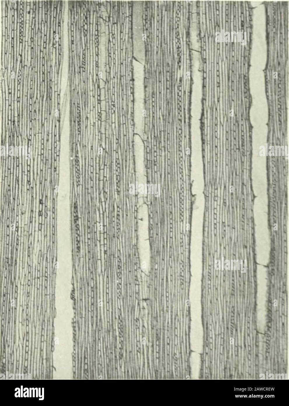 Strates Hi Res Stock Photography And Images Page 2 Alamy