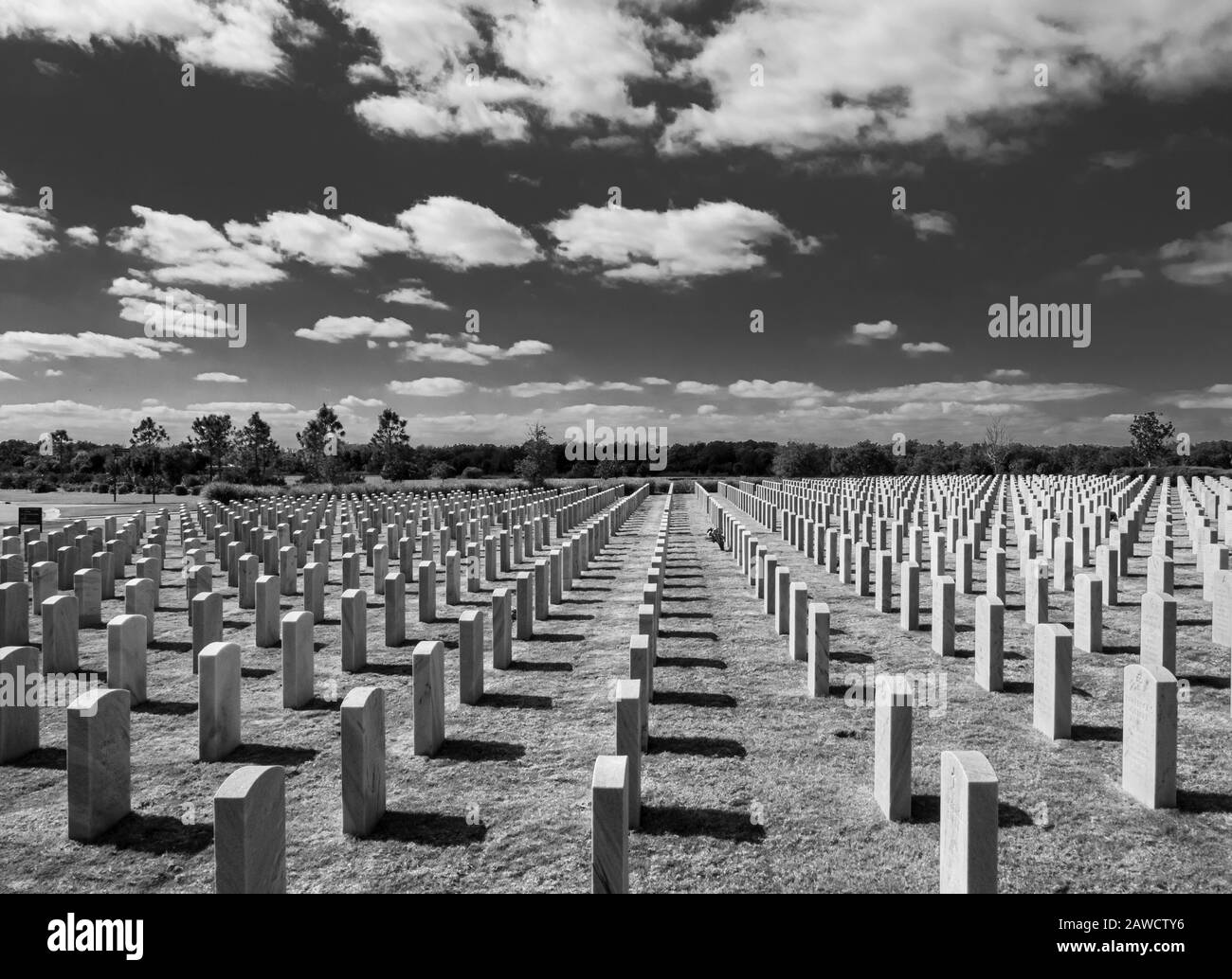 Black and White image of grave stones in Sarasota National Cemetery in Sarasota Florida Stock Photo