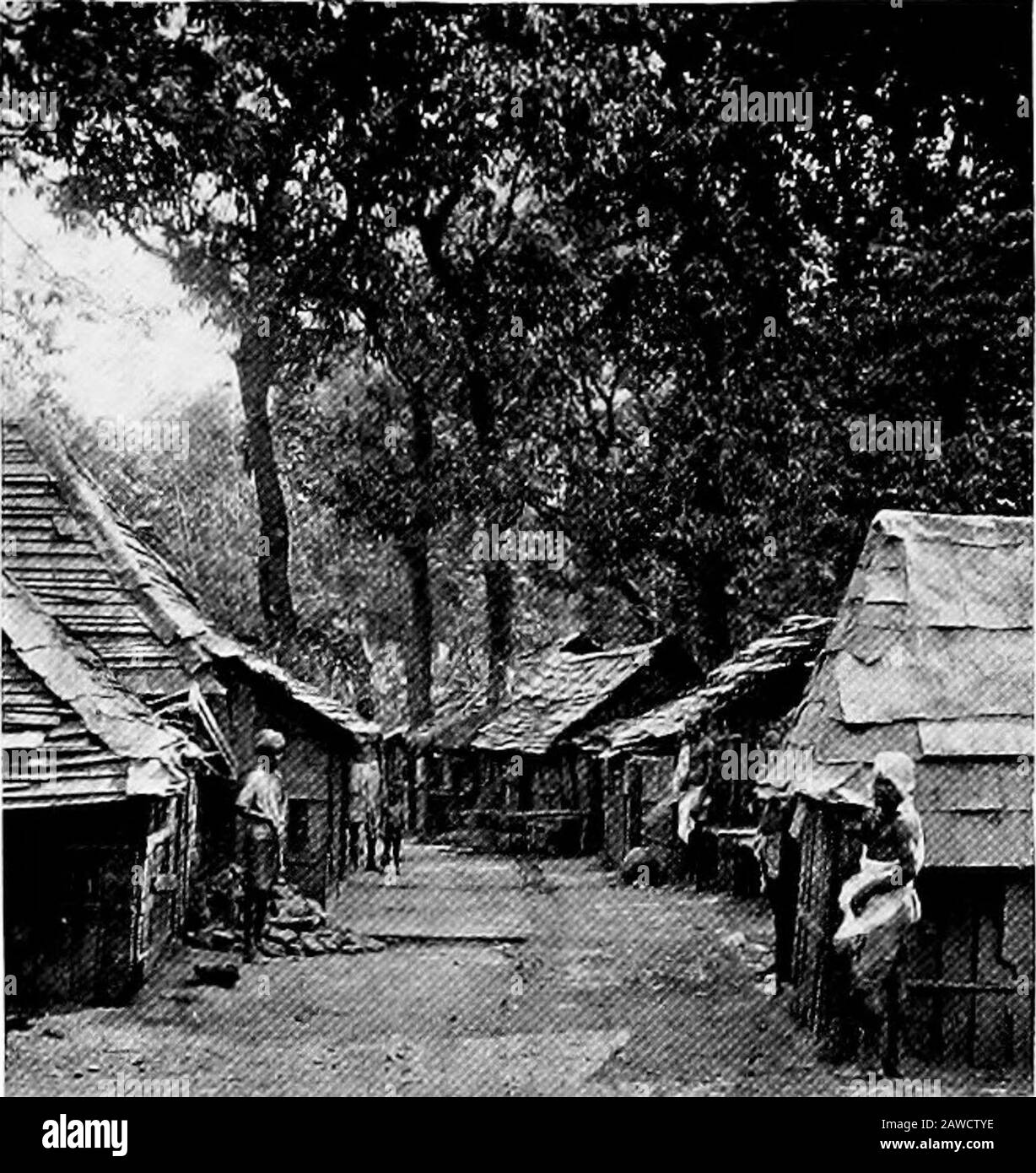 Burma . 359. TAUNGTHU. 360. HOVELS OF THE INDIAN IMMIGRANTS. Brahmans {Pon-hna)  were patronised by the kings of Burma as astrologersand calendar-makers.  Those settled in Burma came at different times fromdifferent parts