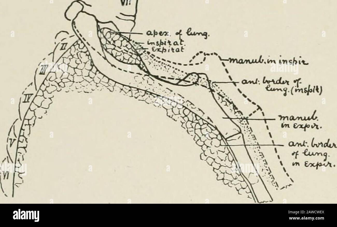 Diseases of the chest and the principles of physical diagnosis