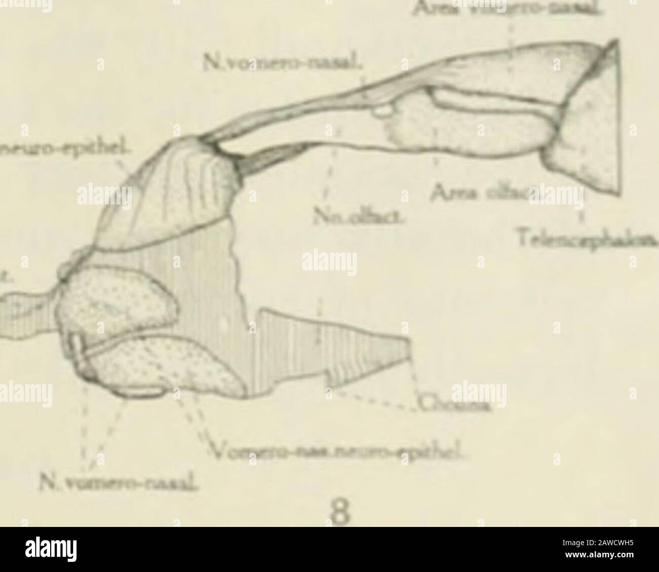 fin de la reconstruction
