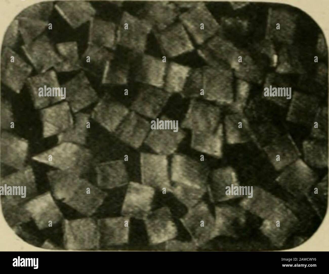 Blasting gelatine hires stock photography and images Alamy