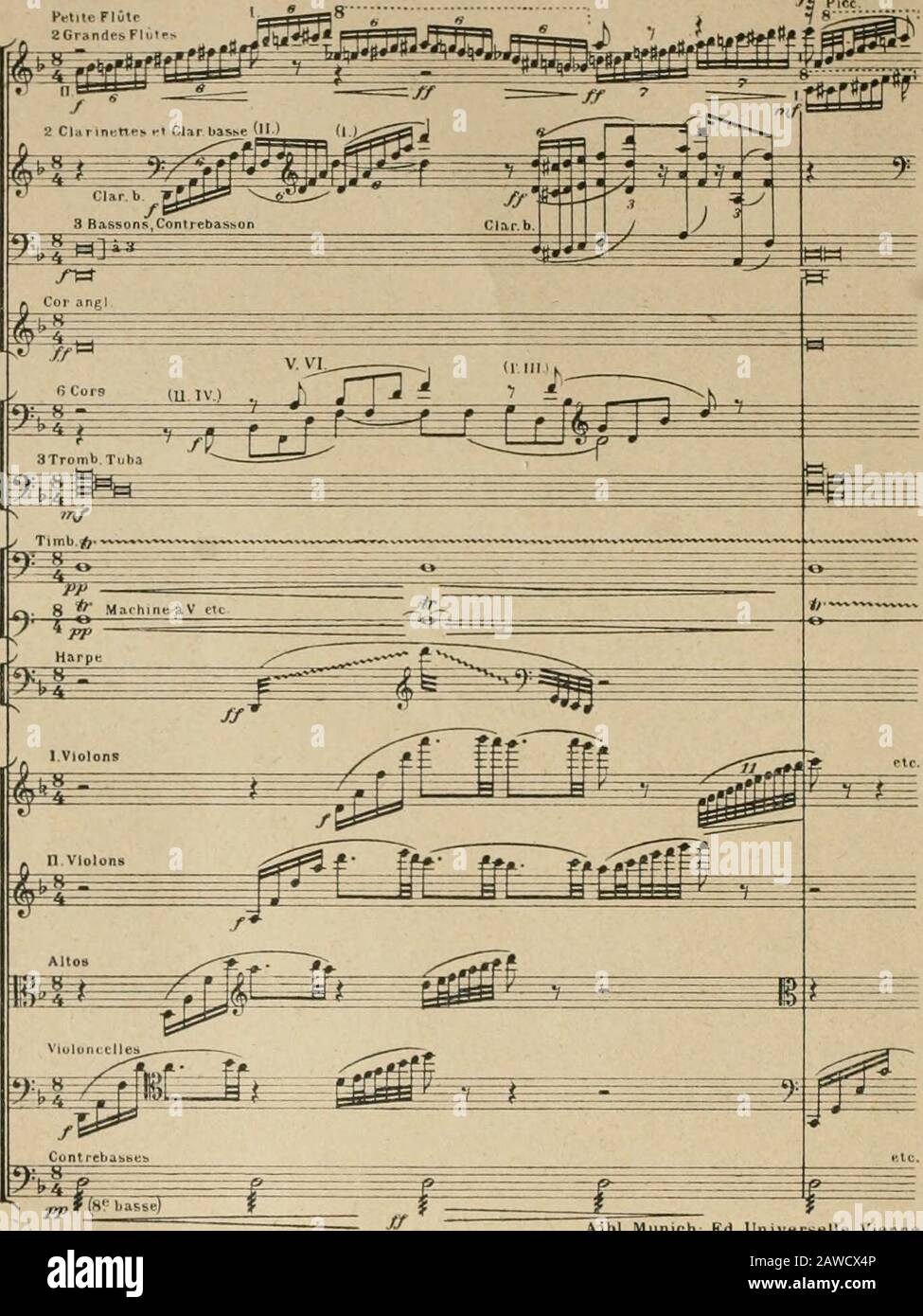 Classic Cantabile Accordéon 48 basses Secondo V rouge : :  Instruments de musique et Sono