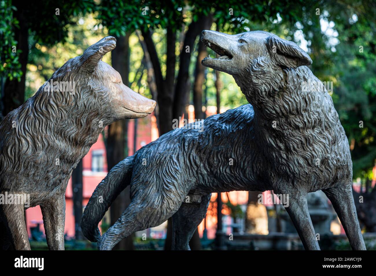 The iconic coyote fountain of Coyoacan in Mexico City, near the home of Frida Kahlo. Stock Photo