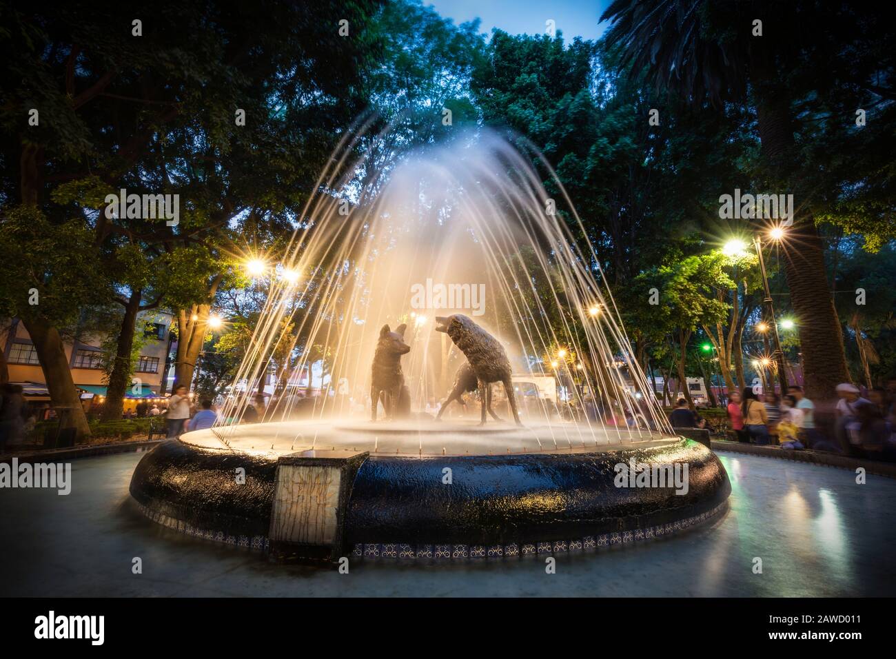 Twilight in the plaza of Coyoacan near the home of Frida Kahlo, Mexico City, Mexico. Stock Photo