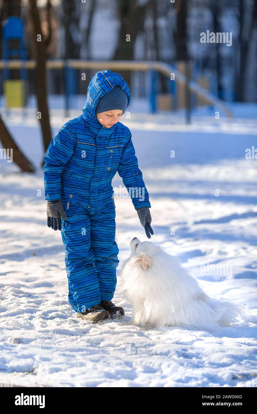 Small boy training a spitz dog in the park in winter Stock Photo