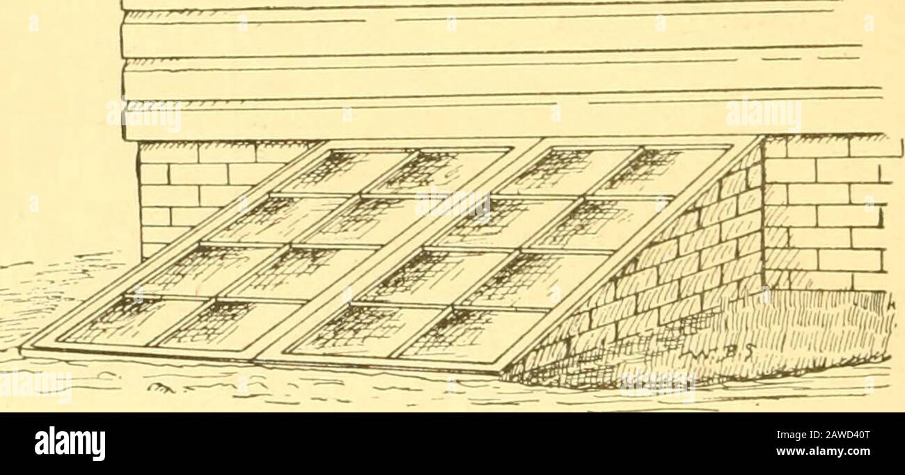 Largecellar hires stock photography and images Alamy