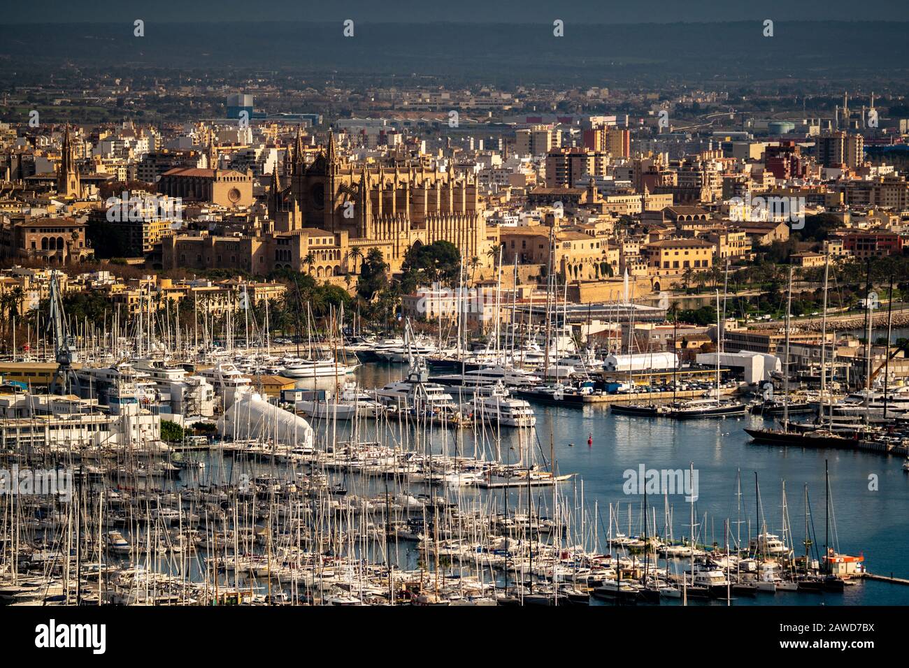 Europa, Spanien, Insel, Mallorca, Yachthafen und Innenstadt Stock Photo