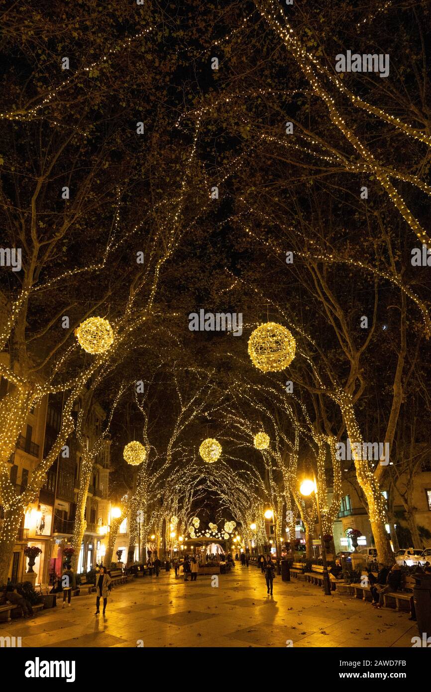 Europa, Spanien, Insel, Mallorca, Flaniermeile, Passeig des born, Palma de Mallorca, Weihnachten, Altstadt, festliche Beleuchtung, Stock Photo