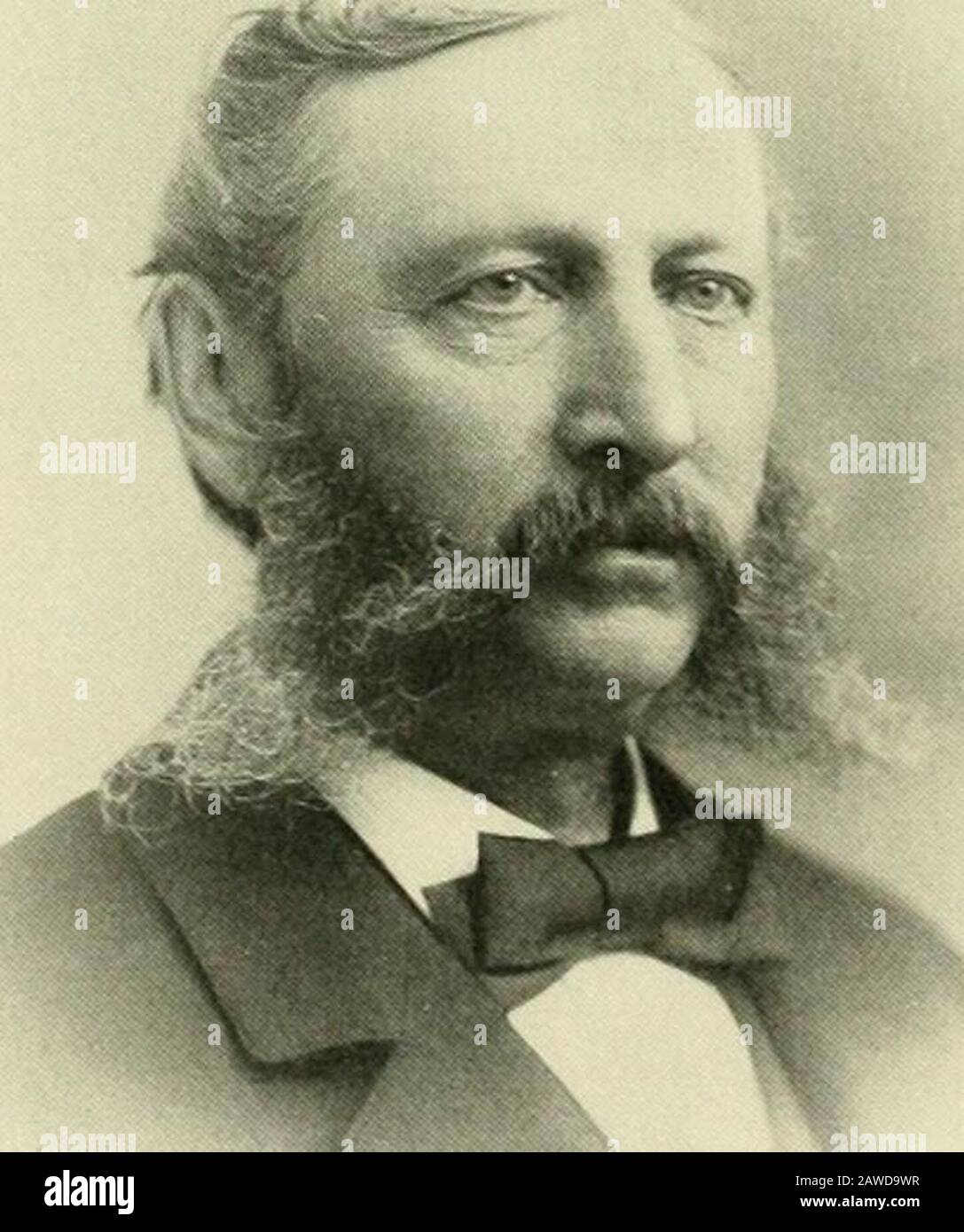 The Worcester of eighteen hundred and ninety-eightFifty years a city . R. JAMES TATMAN. The Worcester of 1898. 763 for himself, and largely developed real estate in buying land and erectinghouses, and has done more to improve and build up Ward i than any otherman, excepting Honorable Stephen Salisbury. He resides in a fine andattractive home at 198 Park avenue, and his office is at his house. He is a Republican in politics, and has been a member of the CityCommittee several years. In 1896 he served in the City Council. He is aKnight of Pythias and a Knight of Malta. In religion he is a Methodi Stock Photo