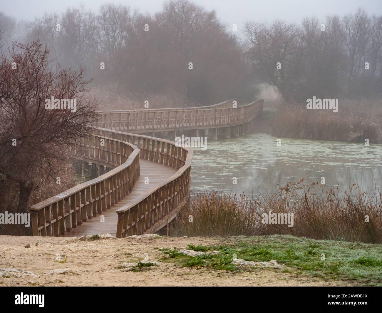 wooden walkways in the national park of the tables of Daimiel Stock Photo