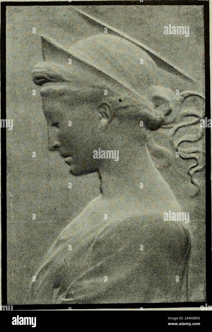 Maigres High Resolution Stock Photography And Images Alamy