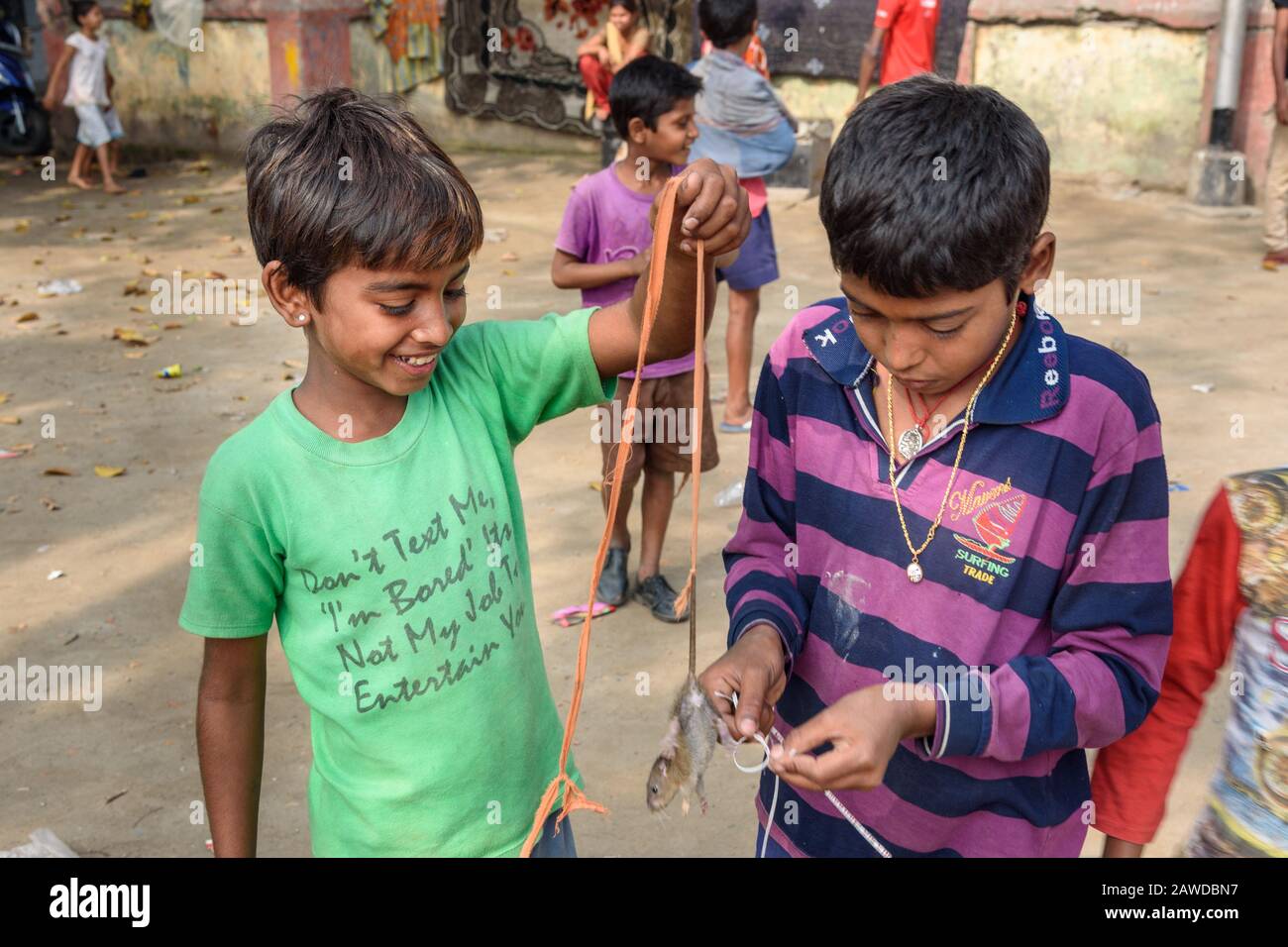 Young boys play with the mouse, smiling and happy on the street in ...