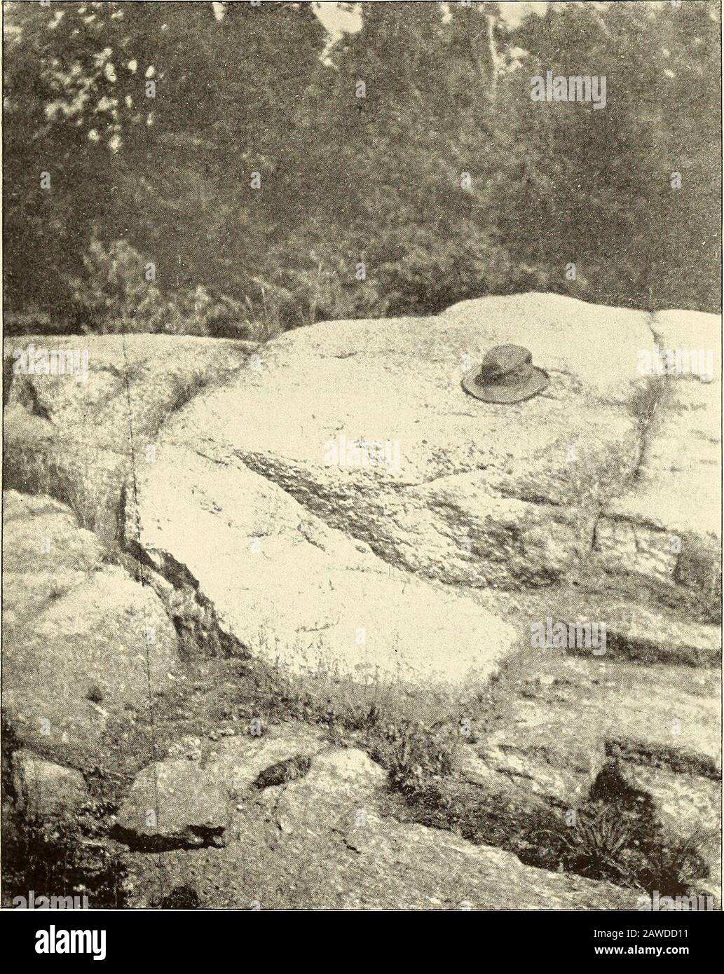 Annual report . e is that from the areajust west of Sacandaga Park. A ...