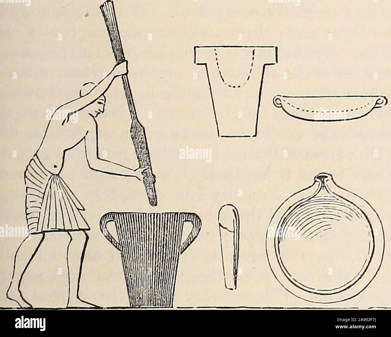 A dictionary of Greek and Roman antiquities.. . e evidently to be madefrom straight portions of the trunks or branches oftrees, and the thicker and shorter of them was tobe hollowed. They might then be used in the MUNYCHIA. MURUS. 769 manner represented in a painting on the tomb ofltemeses III. at Thebes (see woodcut, left-handfigure taken from Wilkinson, vol. ii. p. 383) ; forthere is no reason to doubt that the Egyptians andthe Greeks fashioned and used their mortars in thesame manner. (See also Wilkinson, vol. iii. p.181, showing three stone mortars with metal pes-tles.) In these paintings Stock Photo
