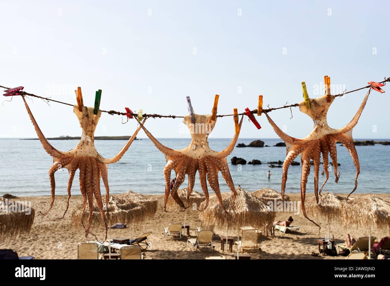 Octopus hanging up to dry in the sunshine in the Greek islands, Crete, Chania in summer Stock Photo