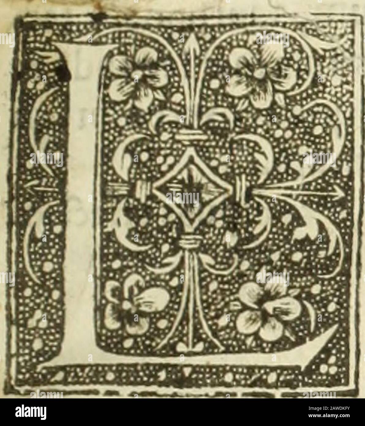 Logarithmorum hires stock photography and images Alamy