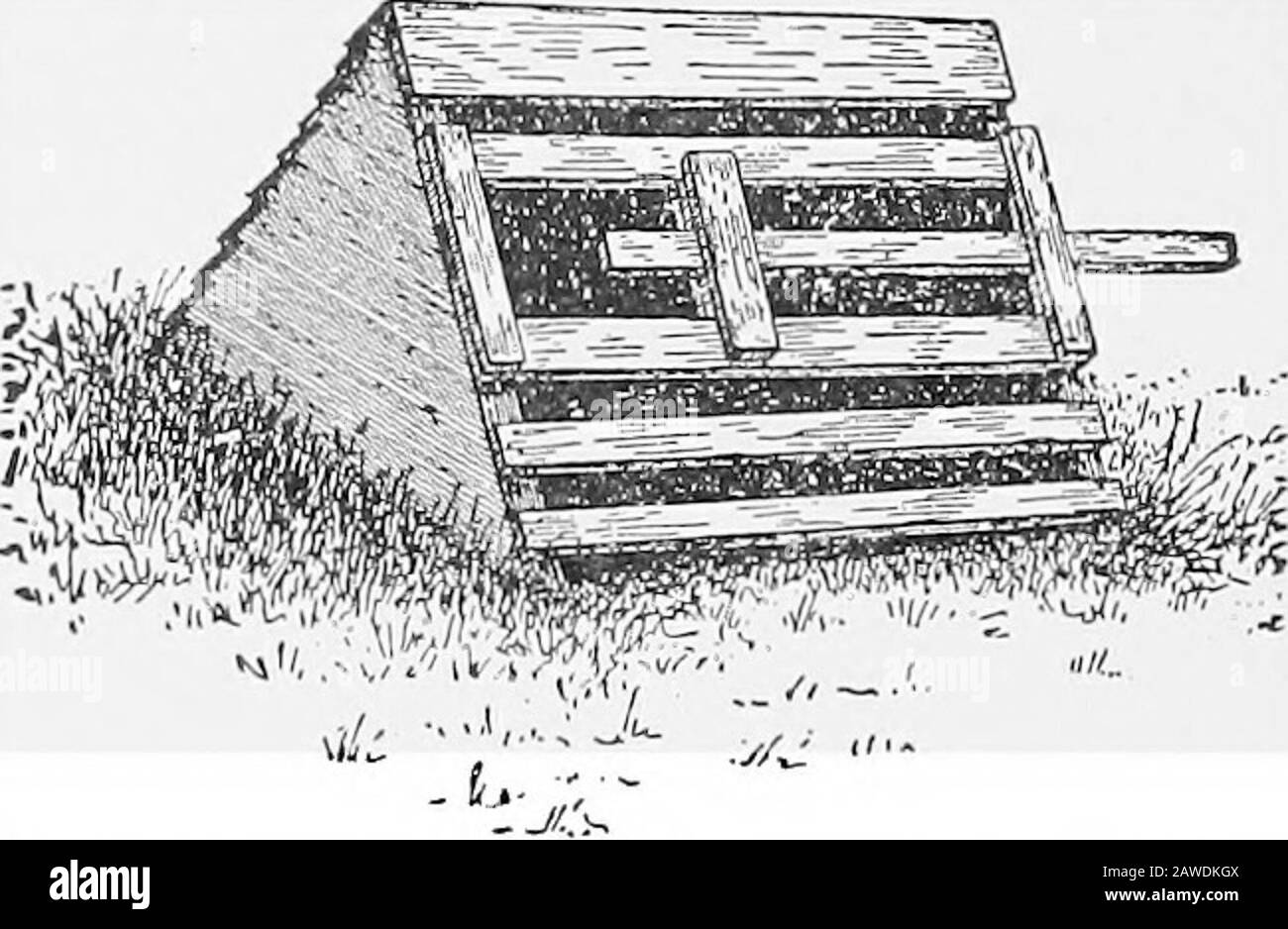 The Practical Stock Doctor A Reliable Common Sense Ready