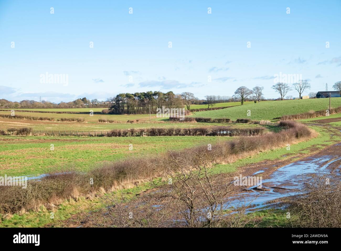 Cunninghamhead fields and hedgerows Irvine Looking over from Perceton in North Ayrshire on a bright afternoon in Scotland the centre of Burns country. Stock Photo