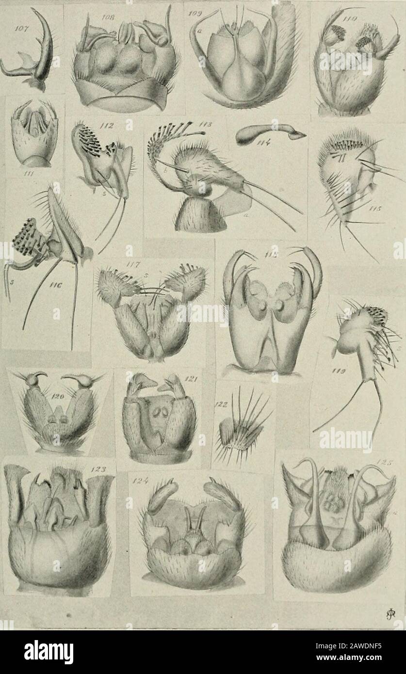 121 112 High Resolution Stock Photography And Images Alamy