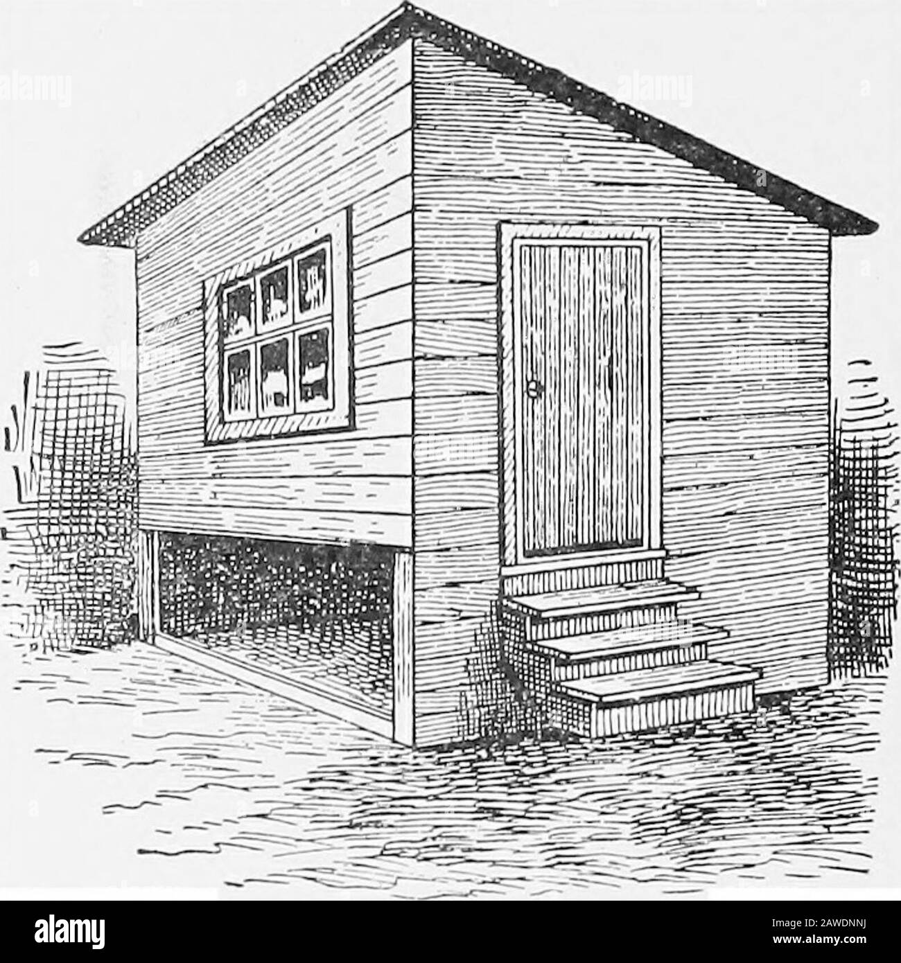 The practical stock doctor: a reliable, common-sense ready-reference book for the farmer and stock owner .. . Fig. 9—Concealed or Darkened Nest 6i4 THE PRACTICAI, STOCK DOCTOR plan of the same, Fig. 3. A scratching shed may be attached tothe side of this house, as in Figs. 4 and 5, which, if desired, maybe inclosed in front with poultry wire, so as to keep the birdsconfined. FITTINGS.— Roosts.—The details of construction of roosts are seen in ?Fig. 6. The important points are nearly flat or rounded surfaceon the upper side and as few cracks and crevices as possible in. Fig. 10—Scratching Room Stock Photo
