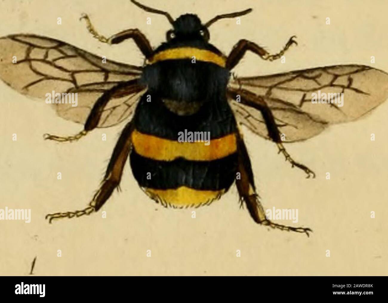 1 34 inf hi-res stock photography and images - Alamy