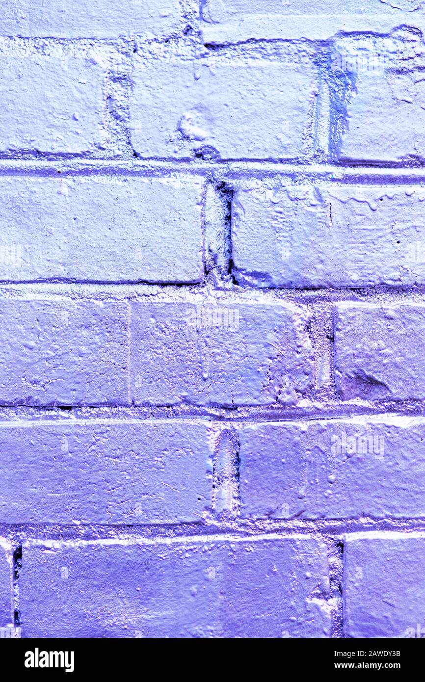 Brick wall as a texture painted in purple. Vertical. Stock Photo
