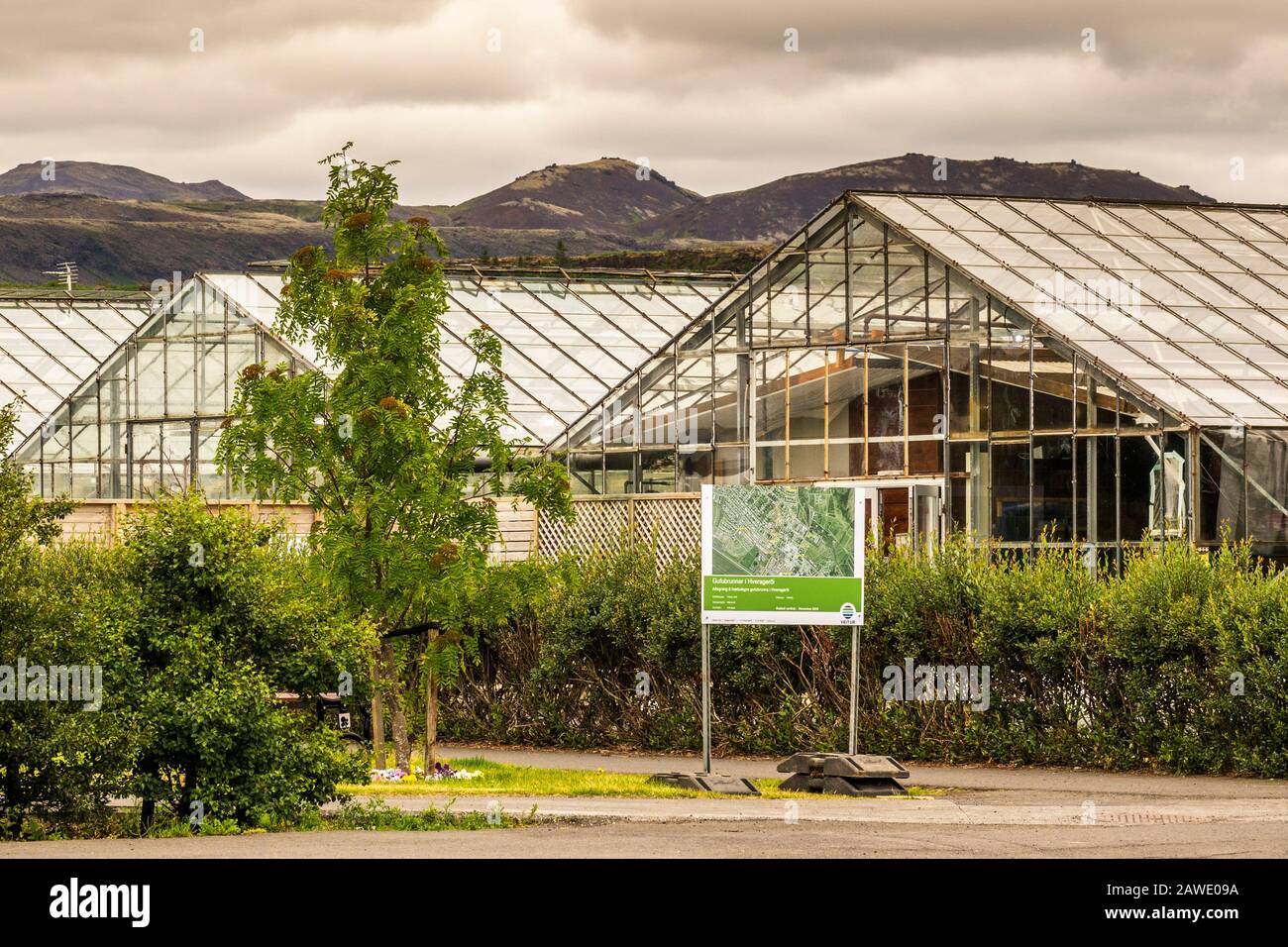 Greenhouses Heated By Geothermal Energy, Hverageroi, Iceland Stock Photo