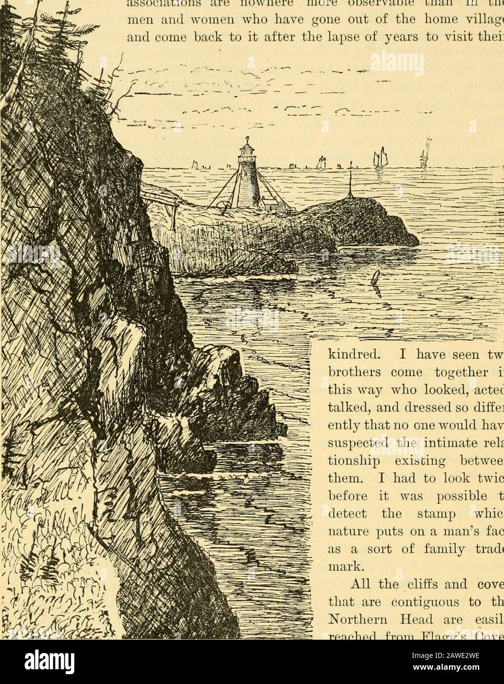 The Pine-tree coast . in their isolated situation, a sort of sturdy little  republicin which a man who should appeal to the law against hi- neighbor is  considereda bad citizen. In consequence,