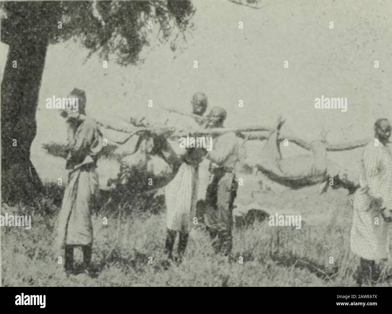 Wear mantles hi-res stock photography and images - Alamy
