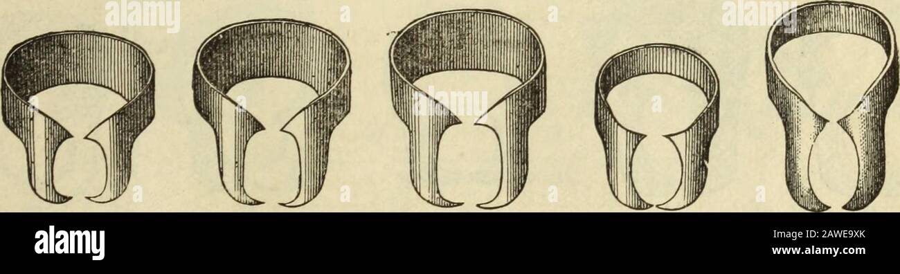 The Dental cosmos . 7 8 9 10 11 12 40 cents each. DR. CHARLES F. ALLANS MOLAR CLAMPS.. 13 14 15 16 17 40 cents each.DR. DELOS PALMERS SET OF 8. Stock Photo