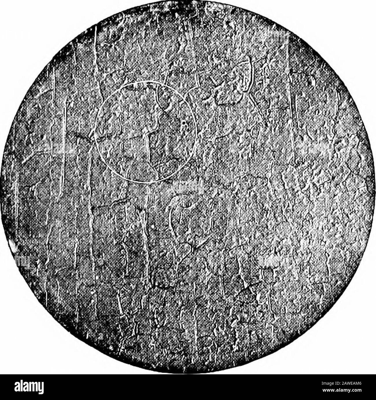 Iron corrosion; anti-fouling and anti-corrosive paints . ther case this  isalways liable to recur. The time taken by oil paints in drying has  already beenstated as from six to thirty-six, and even
