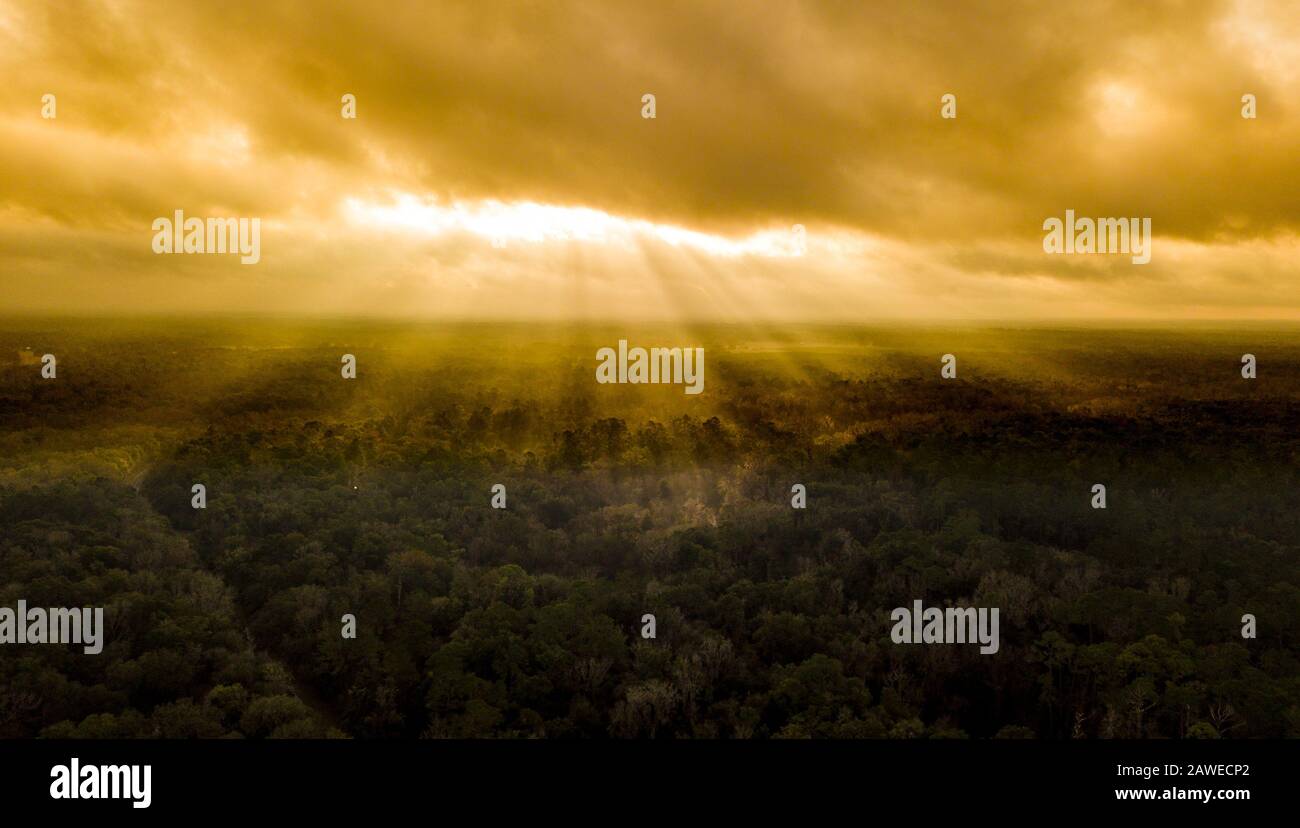 Sun rays shining dramatically through the clouds onto forest canopy. Stock Photo