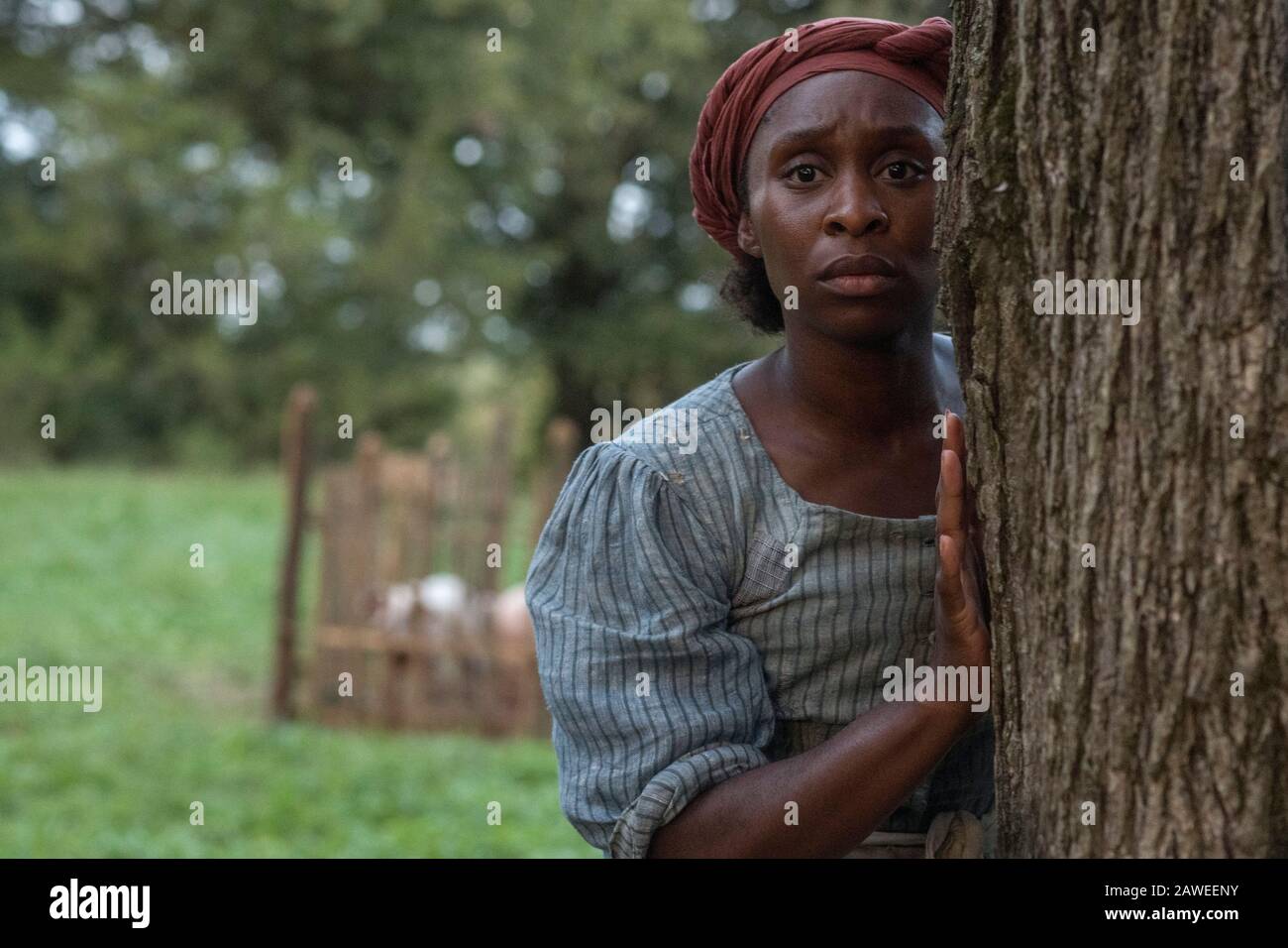 RELEASE DATE: 2019 TITLE: Harriet STUDIO: Focus Features DIRECTOR: Kasi Lemmons PLOT: Based on the story of iconic freedom fighter Harriet Tubman, her escape from slavery and subsequent missions to free dozens of slaves through the Underground Railroad in the face of growing pre-Civil War adversity. STARRING: CYNTHIA ERIVO as Harriet Tubman. (Credit Image: © Focus Features/Entertainment Pictures) Stock Photo