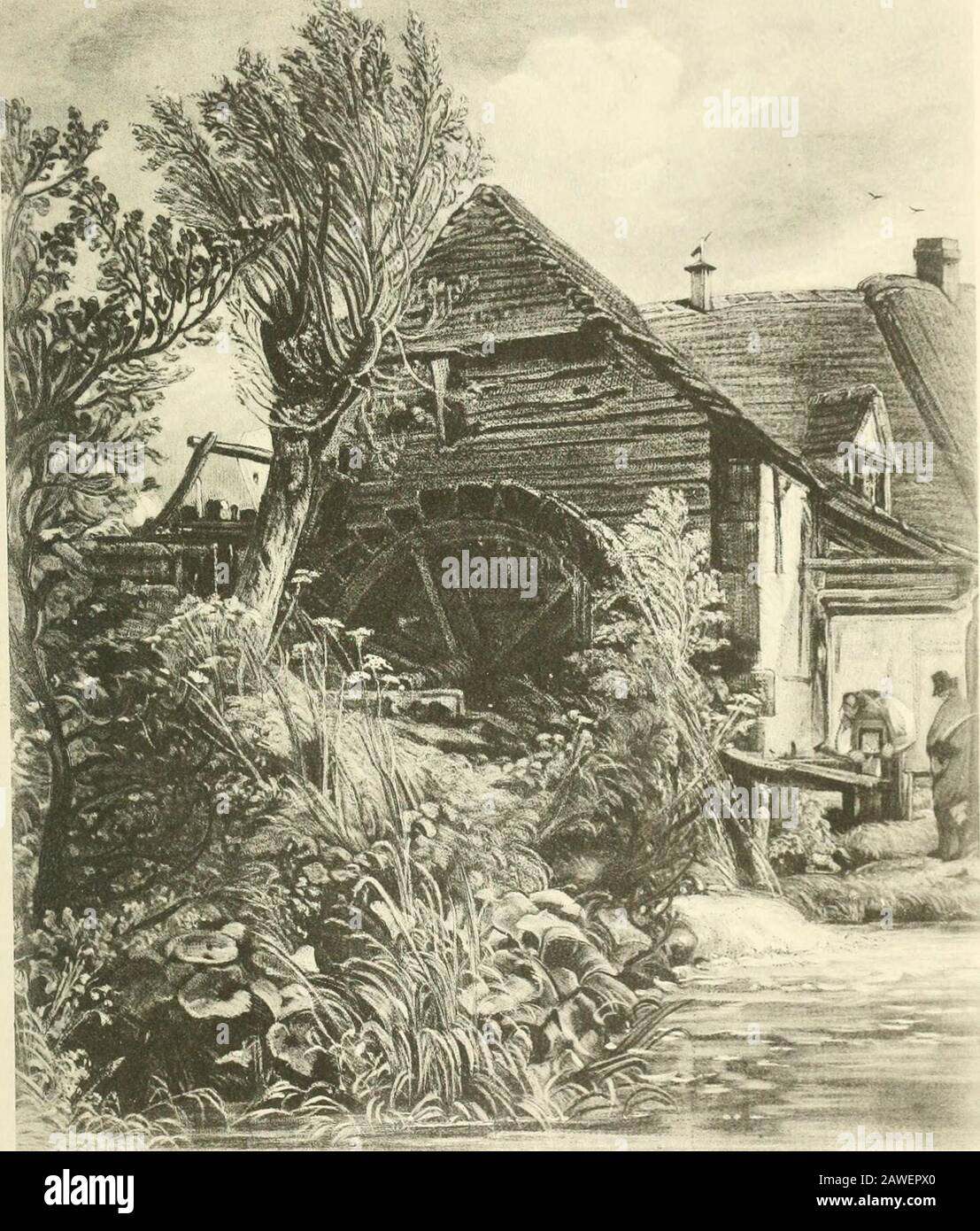 alamy