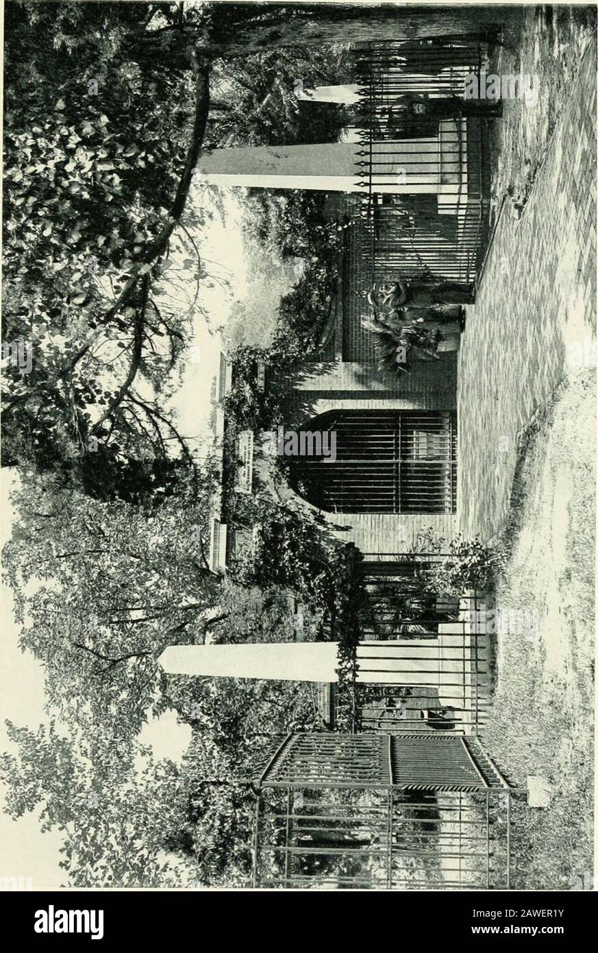 America, picturesque and descriptive . Avhich is faithfully preserved as a patri-otic heritnge and place of pilgrimage for visitors fromall parts of the world. The steamboat lands at AV^ashingtons Avharf at thefoot of the bluff, Avhere he formerly loaded his bargeswith flour ground at his own mill, shipping most of itfrom Alexandria to the West Indies. The road fromthe wdiarf leads up a ravine cut diagonally in the faceof the bluff, directly to Washingtons tomb, and along-side the ravine are several weeping willows that werebrought from Napoleons grave at 8t. Helena. Wash-ingtons will directed Stock Photo