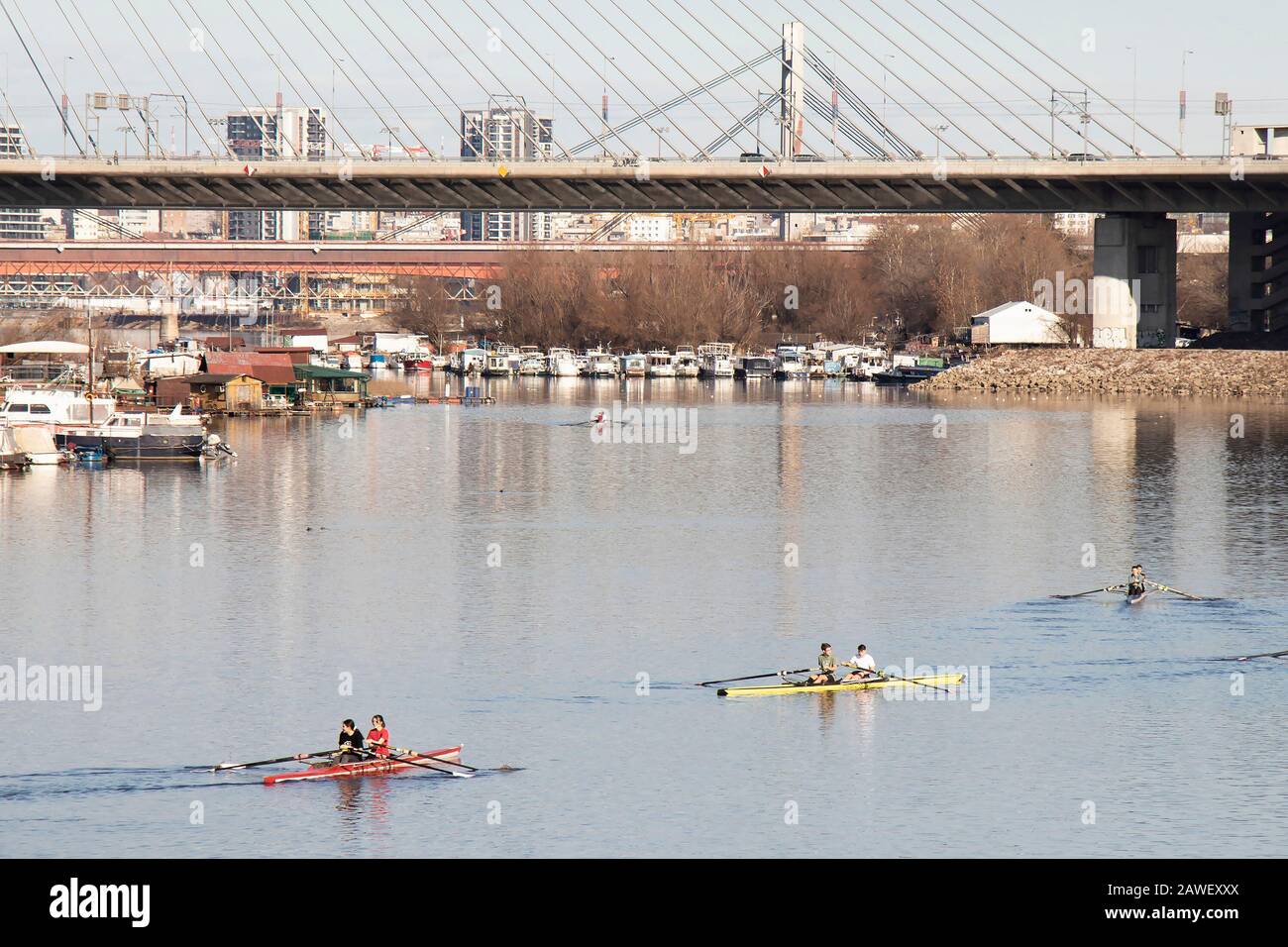 Belgrade, Serbia - February 2, 2020: Young people rowing in Sava river armlet, under city bridges, on a sunny winter day Stock Photo