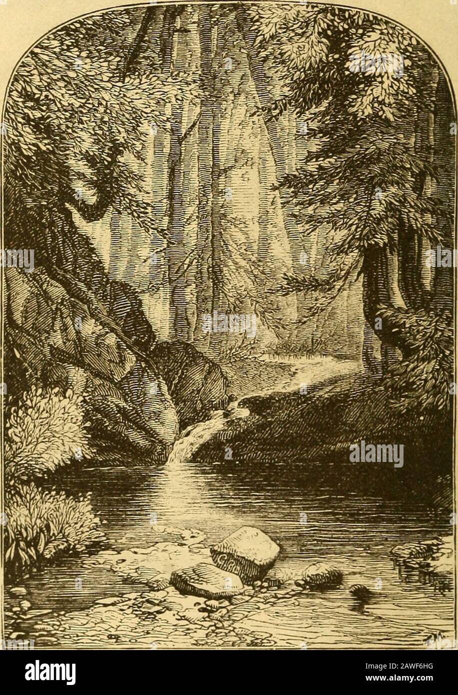 The stranger's illustrated pocket guide to Philadelphia, embracing a description of the principal objects of interest in and around the city, with directions how to reach them . WISSAHTCKON CREEK. ii4 WISSAHICKON CREEK. the convenience of those who wish to row on the placid waters. Thiscalm beauty changes as the valley ascends, and we soon find the streama mountain torrent, well in keeping with its picturesque situation andsurroundings. So with alternate rush of torrent and placid beauty ofcalm reaches the romantic stream flows down from the high table-landsof Chestnut Hill to its embouchure i Stock Photo