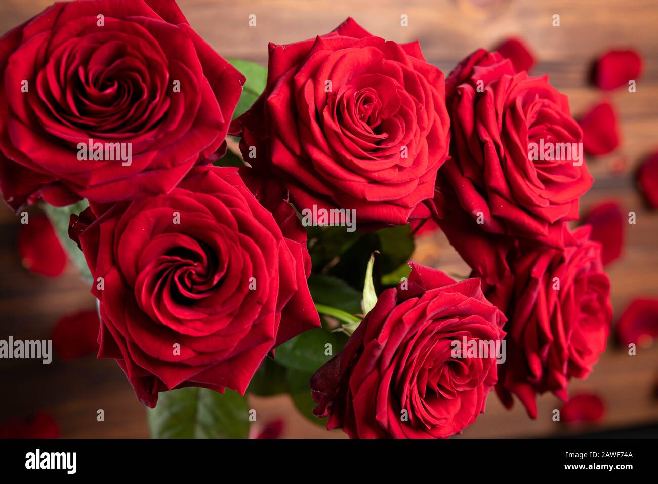 Red roses bunch on the moody background Stock Photo Alamy