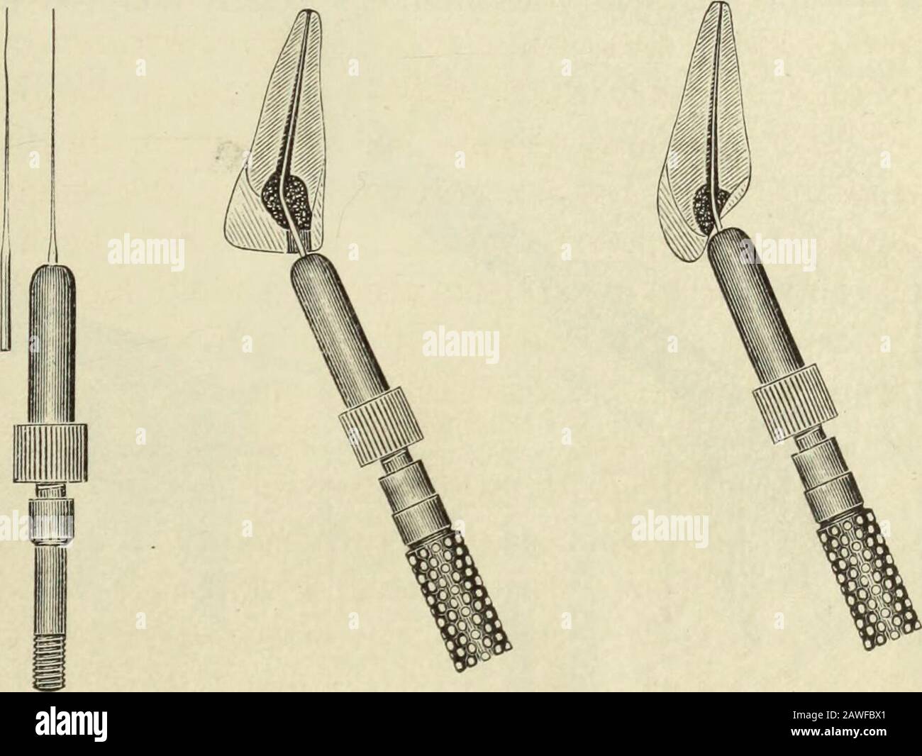 The Dental cosmos . (to the extent of five-eighths of an inch) the probe- ROOT-CANAL FILLING. 765 shank may be inserted. The chuck has a cone-socket shank whichmay be tightly screwed into any cone-socket handle, preferably a No. 1.Fig. 3 shows in section a pulpless superior incisor, into the canal ofwhich a probe is pushed until slight pain indicates the passage of theprobe barely through the foramen. The probe is then withdrawn one-sixteenth of an inch, and firmly fixed in the chuck so that the chuckend will stop against the end of the tooth when the end of the probeexactly reaches the forame Stock Photo