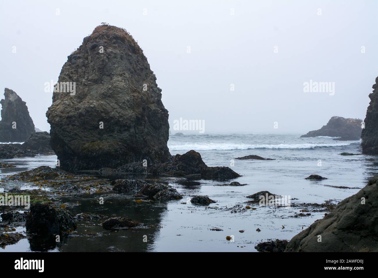 Rock cliff Low tide pools fort bragg california Stock Photo Alamy