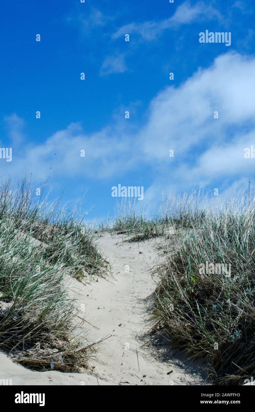 Coastal sand dunes lake michigan hi-res stock photography and images - Alamy, image size:860x1390
