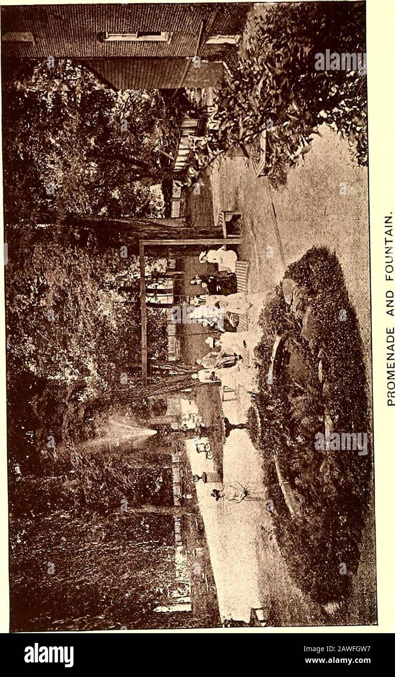 Salem Female Academy And College Catalogs Salem Female Academy